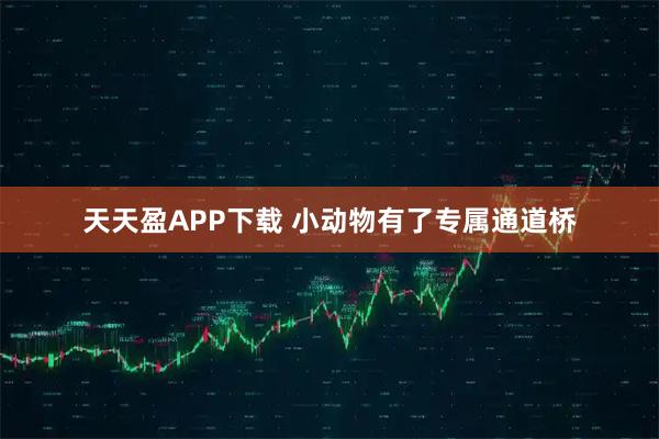 天天盈APP下载 小动物有了专属通道桥